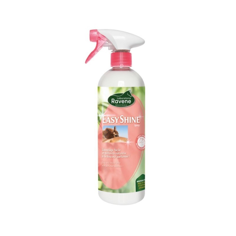 Easy Shine RAVENE 750ml