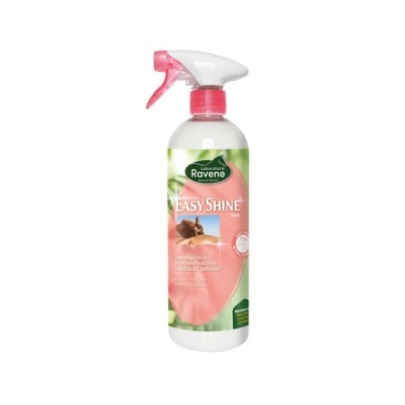 Easy Shine RAVENE 750ml