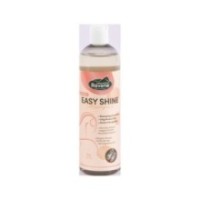 Easy Shine Shampoo RAVENE 500ml