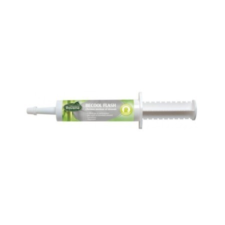 Becool Flash RAVENE 30ml