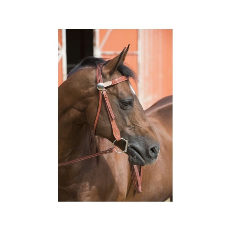 Bridon RANDOL'S "Two Tone" CHEVAL