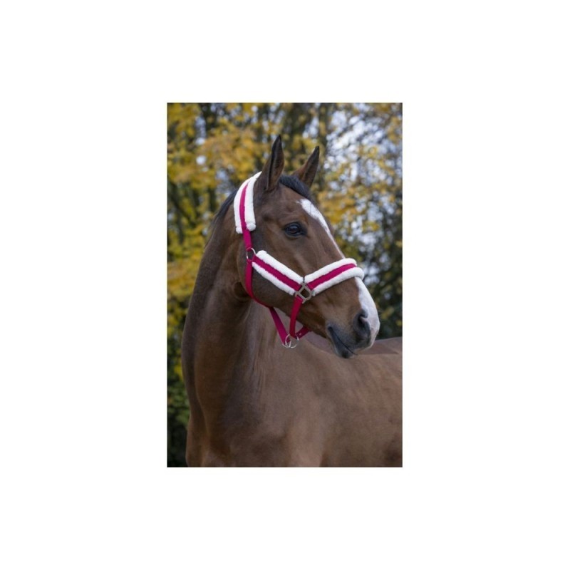 Licol Framboise NORTON "Confort"