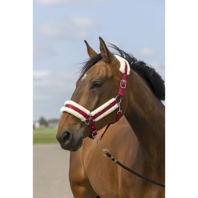 Licol  bordeaux/blanc EQUITHÃˆME "Nylon Mouton"