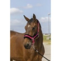 Licol rose/noir EQUITHÃˆME "Nylon Mouton"