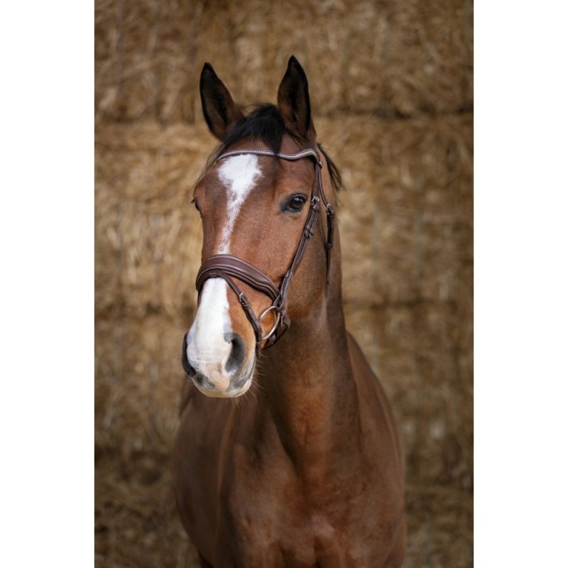 Bridon Havane NORTON PRO "Miss"