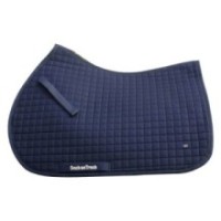 Tapis Marine Back on Track