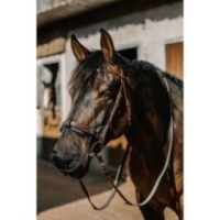 Protection nez EQUITHÃˆME - Anti UV