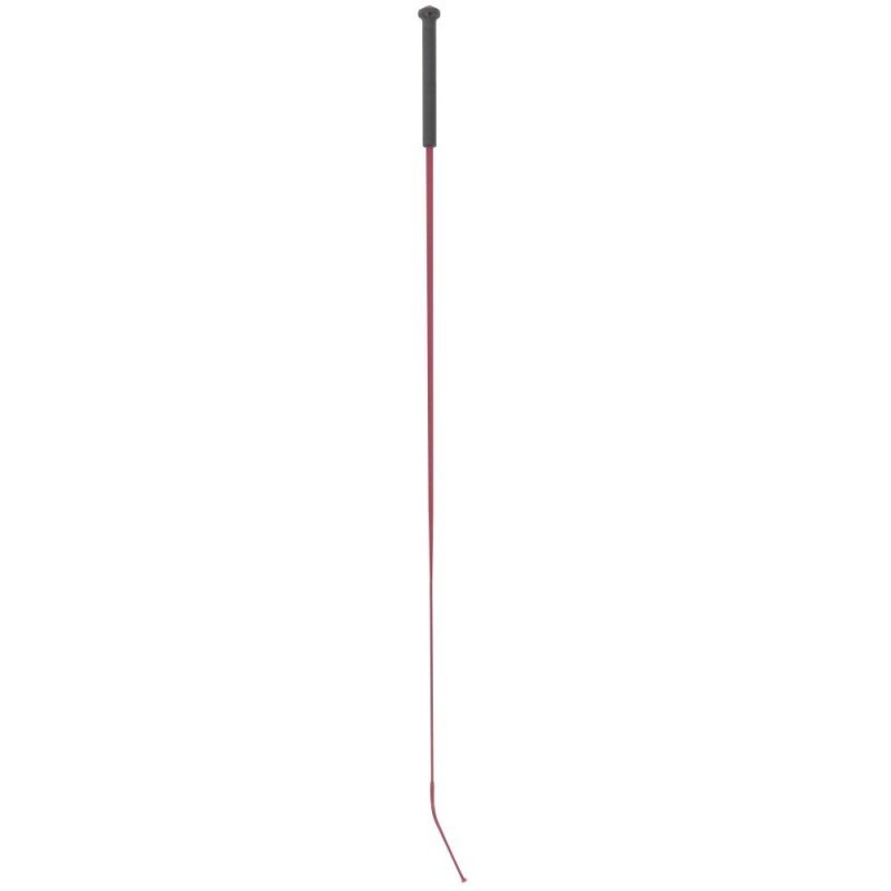 Cravache de dressage WHIP & GO BORDEAUX 120 CM