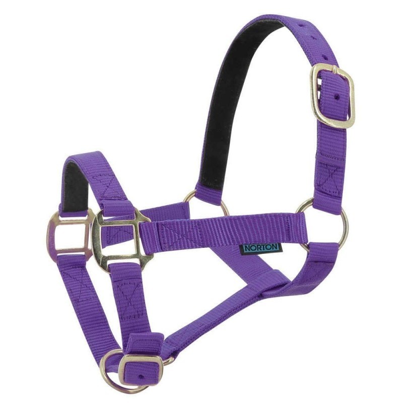 Licol nylon Violet NORTON doublÃ© cuir