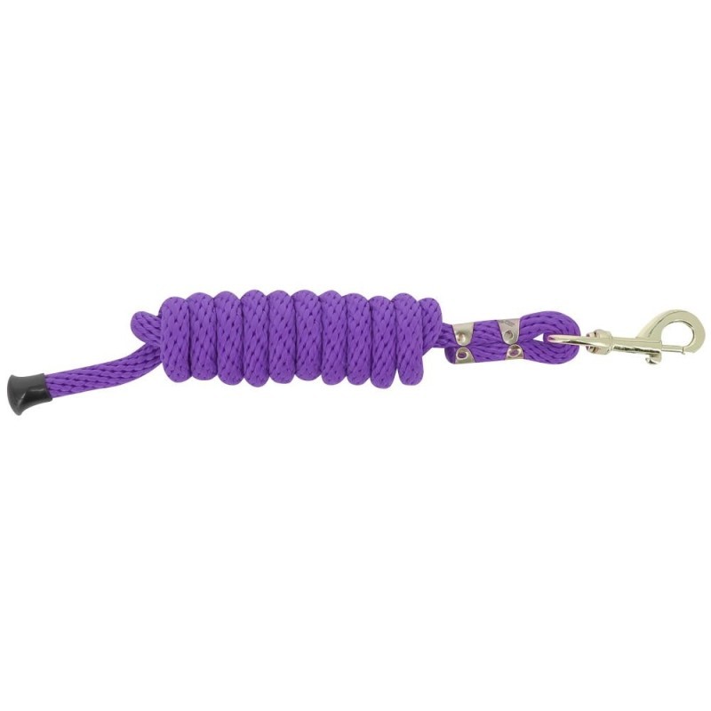 Longe d'attache NORTON Violet Bouclerie DorÃ©