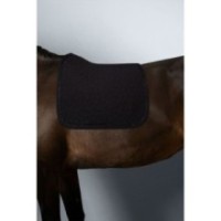 Saphir Tapis de Selle Noir