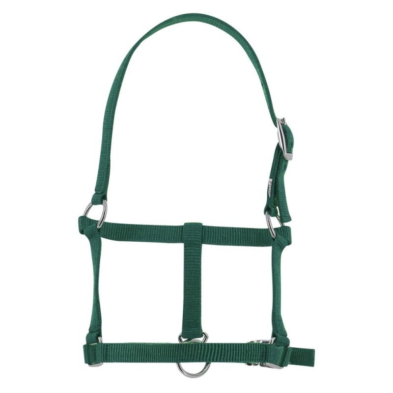 Licol verts foal RIDING WORLD