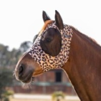 Masque anti-mouches Leopard