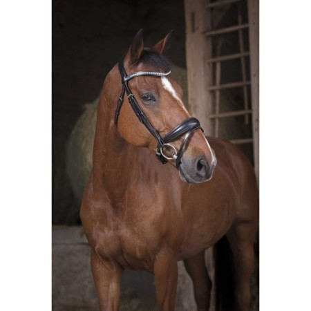 Bridon NORTON PRO - Strass Noir