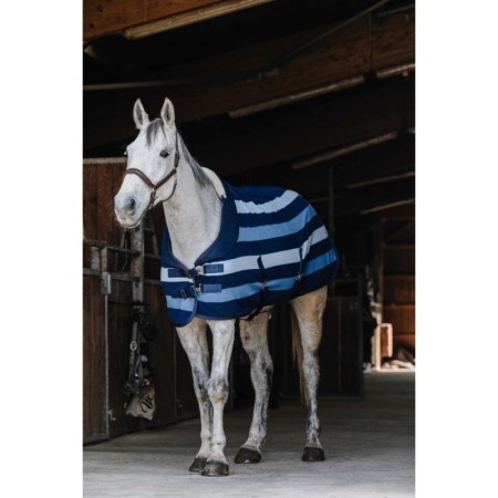 Chemise polaire EQUITHÃˆME - Confortech