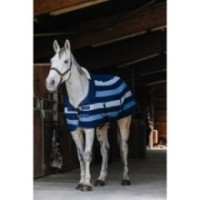Chemise polaire EQUITHÃˆME - Confortech