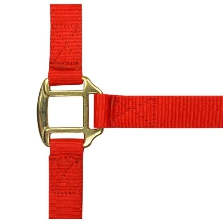 Licol nylon Rouge NORTON doublÃ© cuir