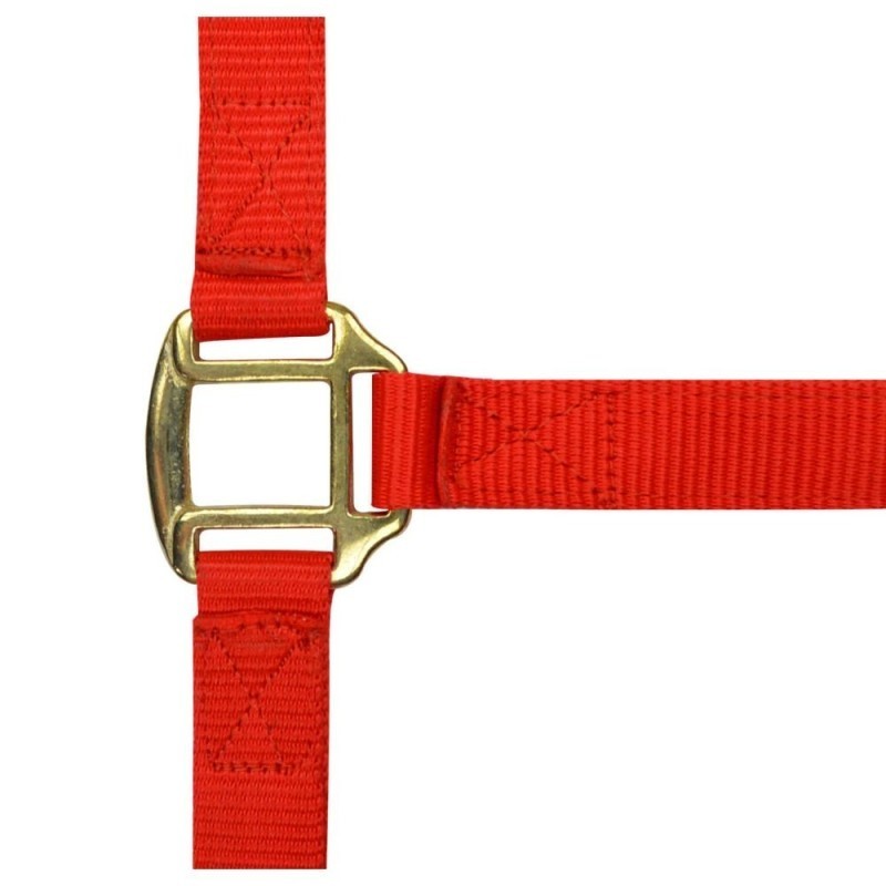 Licol nylon Rouge NORTON doublÃ© cuir