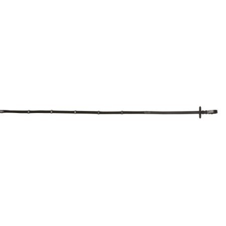 RÃªnes sangle RIDING WORLD Marron