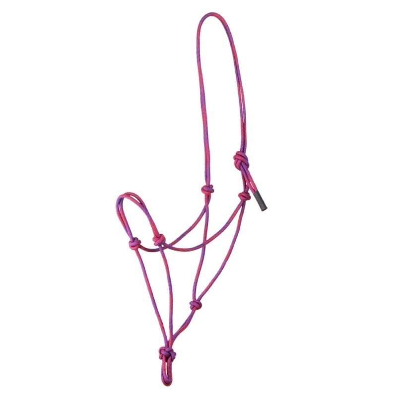 Licol Ã©thologique POOL'S Pink/Purple