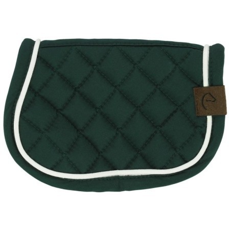Mini- tapis PONY ACADEMY Vert