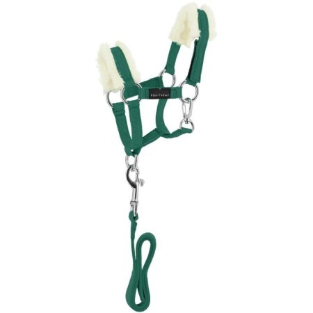 Mini-licol+longe PONY ACADEMY Vert