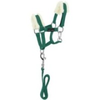 Mini-licol+longe PONY ACADEMY Vert