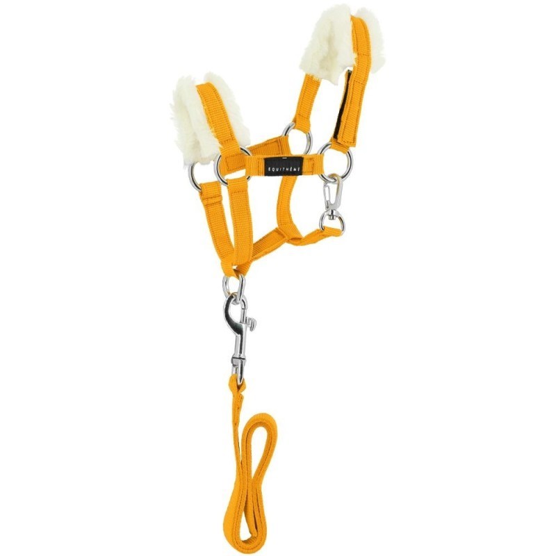 Mini-licol+longe PONY ACADEMY Jaune