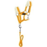 Mini-licol+longe PONY ACADEMY Jaune