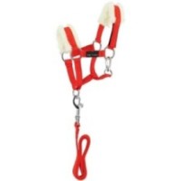 Mini-licol+longe PONY ACADEMY Rouge