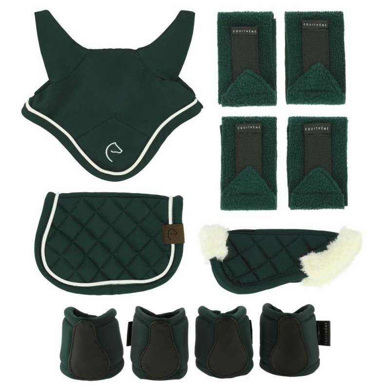 Set Mini accessoires PONY ACADEMY Vert