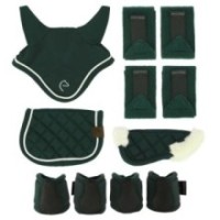 Set Mini accessoires PONY ACADEMY Vert