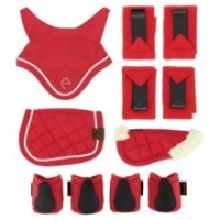 Set Mini accessoires PONY ACADEMY Rouge