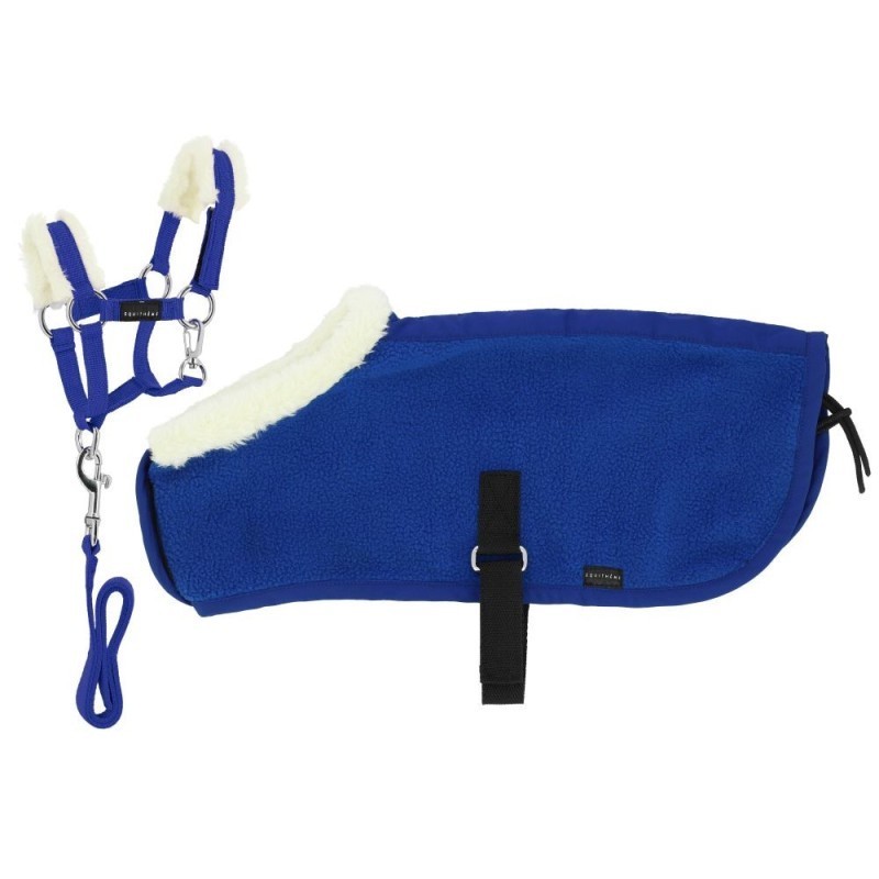 Set Mini licol+couverture PONY ACADEMY Bleu Roi