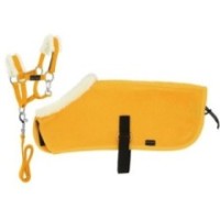 Set Mini licol+couverture PONY ACADEMY Jaune