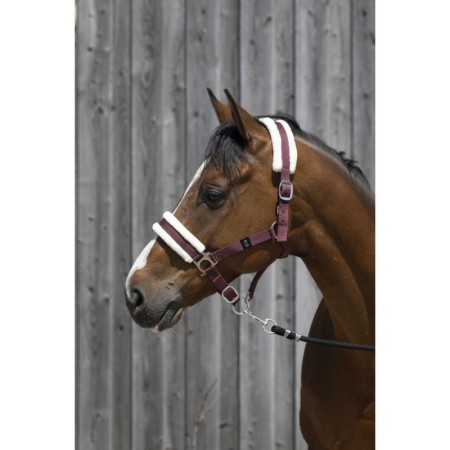 Licol RIDING WORLD mouton synthÃ©tique Bordeaux