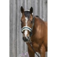 Licol RIDING WORLD mouton synthÃ©tique Vert Sapin
