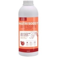Nutri-Boost RAVENE 900ml
