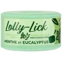 Pierre Ã  sel HIPPOTONIC - LOLLY-LICK Menthe et Eucalyptus