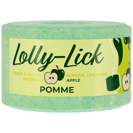 Pierre Ã  sel HIPPOTONIC - LOLLY-LICK Pomme