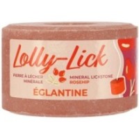 Pierre Ã  sel HIPPOTONIC - LOLLY-LICK Ã‰glantine