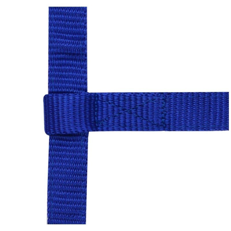 Licol rÃ©glable NORTON - Mini Bleu Roi