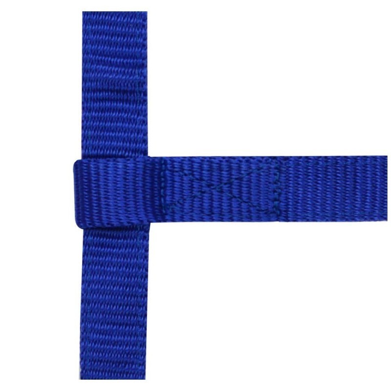 Licol rÃ©glable NORTON - Mini Bleu Roi