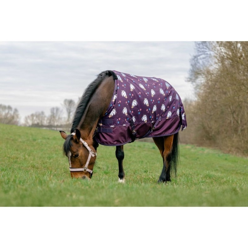 Chemise EQUITHÃˆME - Licorne standard 600D